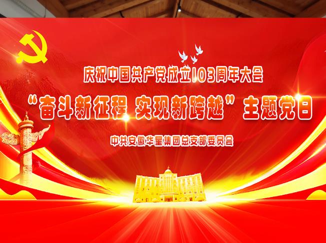 奋斗新征程  实现新跨越 主题党日活动